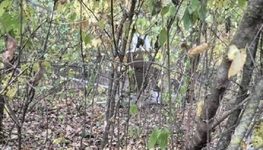 У лісі біля молдовського села Джамена вибухнув безпілотник: деталі інциденту